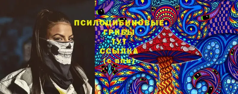 Псилоцибиновые грибы Psilocybine cubensis  где продают   даркнет как зайти  Касли 